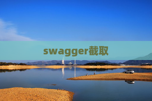swagger截取